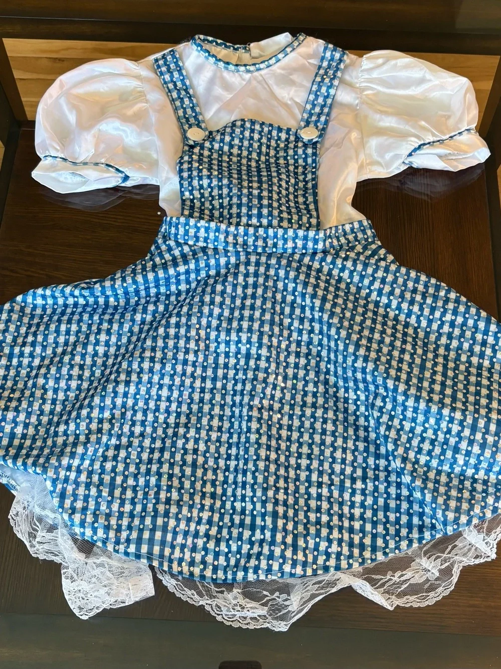 Rubies Costumes Sequined Wizard of Oz Dorothy Child 8-10 Halloween Dress